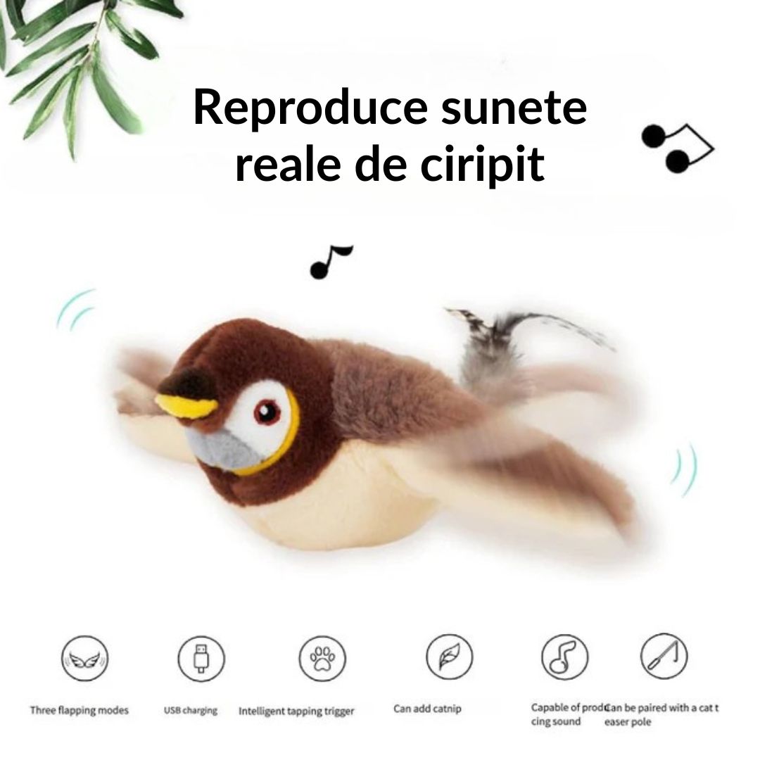 HoverBird® - Jucărie pentru pisici, pasăre care zboară
