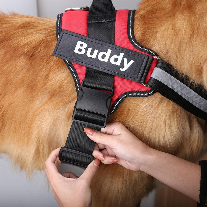 EasyHarness® - Individuelles Anti-Zug-Hundegeschirr