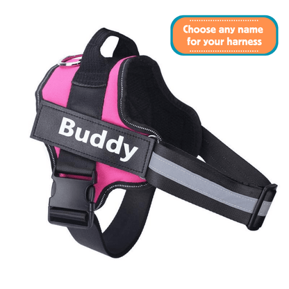 EasyHarness® - Individuelles Anti-Zug-Hundegeschirr