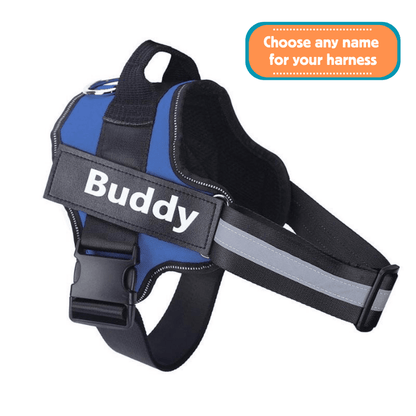 EasyHarness® - Individuelles Anti-Zug-Hundegeschirr