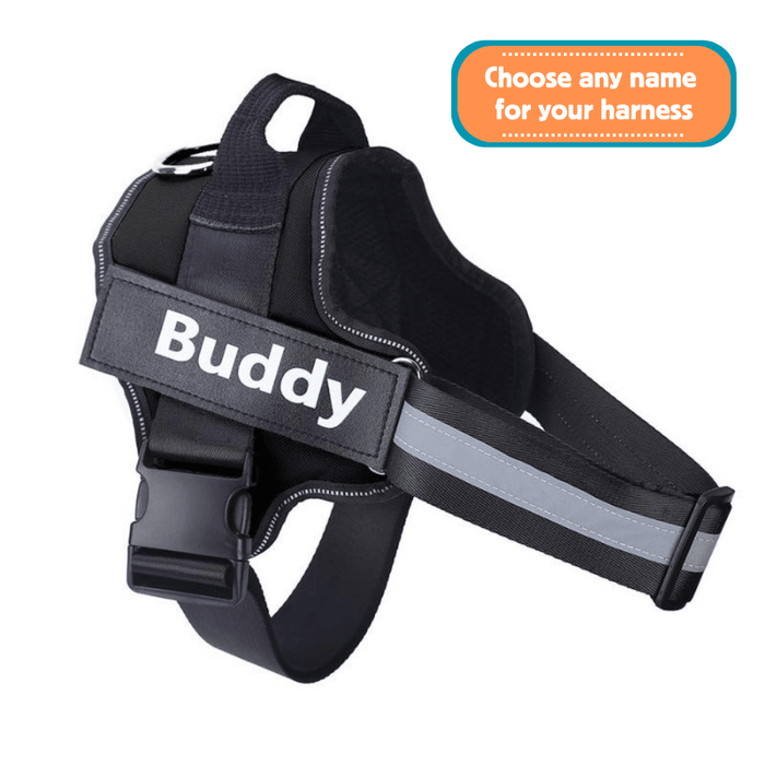 EasyHarness® - Individuelles Anti-Zug-Hundegeschirr