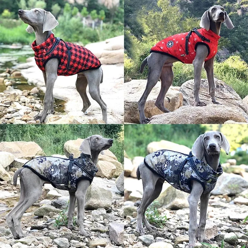 CozyTail® - Wasserdichte Hundejacke