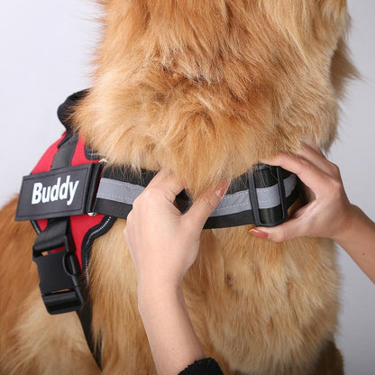 EasyHarness® - Individuelles Anti-Zug-Hundegeschirr