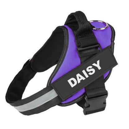 EasyHarness® - Individuelles Anti-Zug-Hundegeschirr